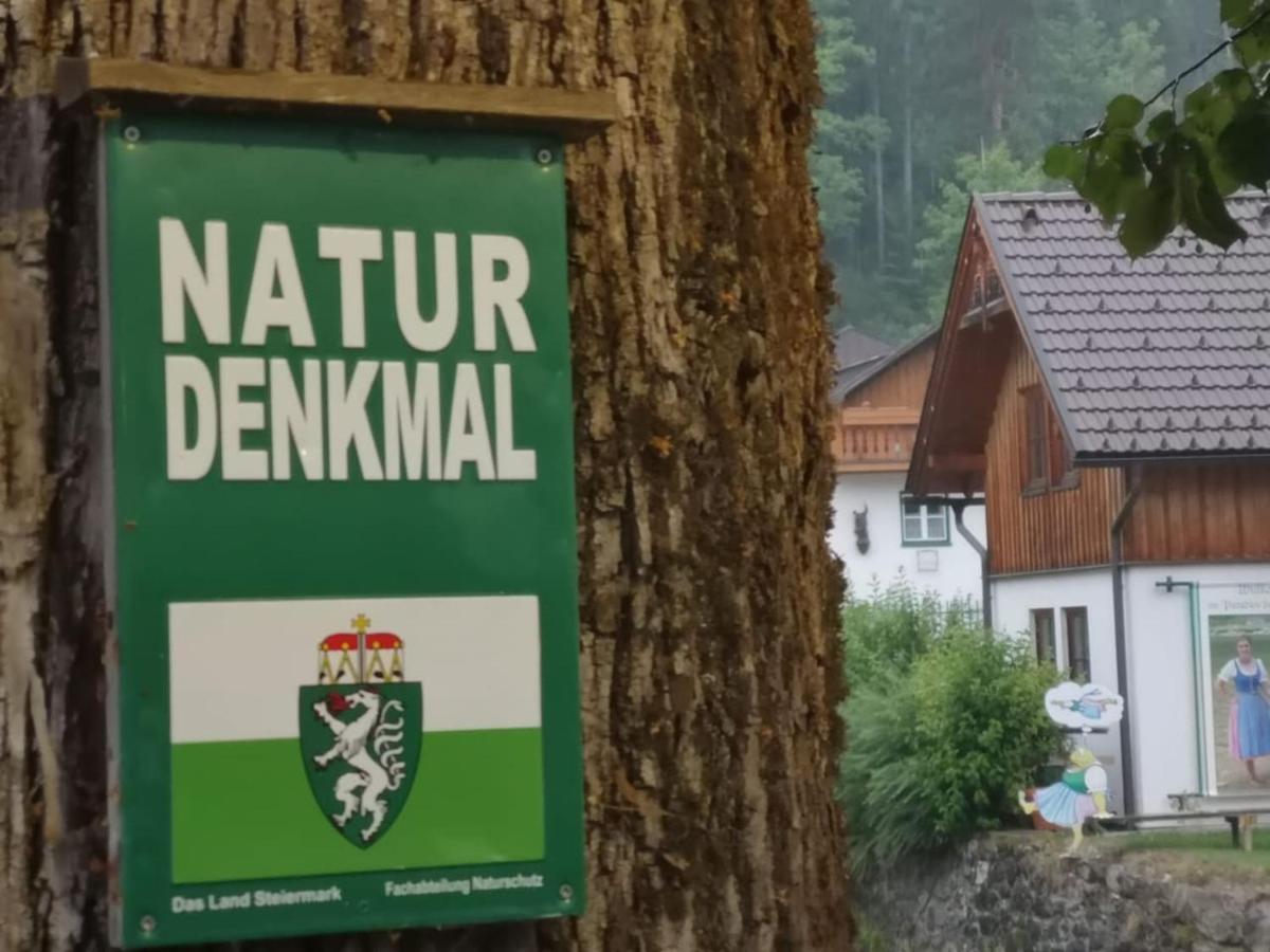 Appartement Mit Doppelbett Oder 2 Einzelbetten Bad Aussee Eksteriør billede